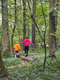 sizergh castle woodland play trail log path