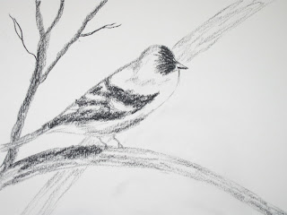 charcoal sketch of a bird by american artist atul pande