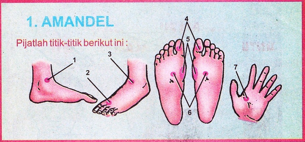 Pijat Refleksi Amandel | indomangga.web.id