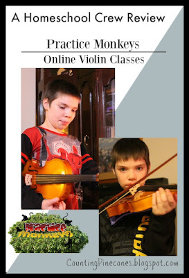 #hsreviews #violin #LiveViolinClasses  #practicemonkeys #onlineviolinlessons #onlinepianolessons