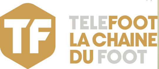  TELEFOOT PREMIUM ACCOUNTS free id and password 2020 - 2021