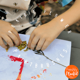 A fun nature craft inspired by Tomie dePaola's book, "The Legend of the Indian Paintbrush." Easy to set up and great for all ages! 