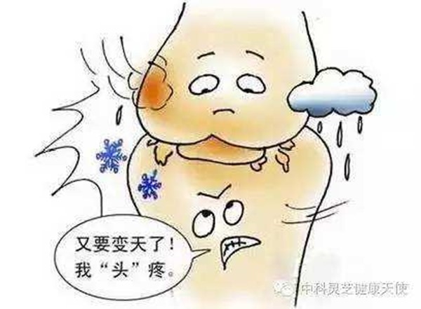 clip_image002