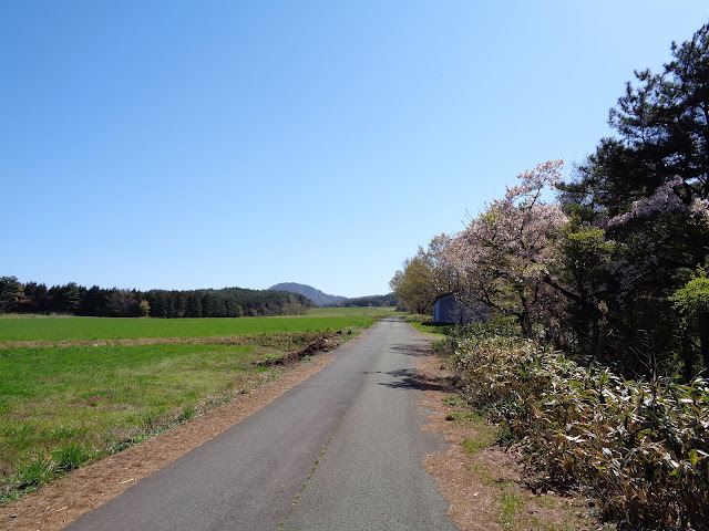 牧草地の道