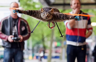 Como fazer um quadricóptero de gato