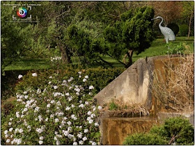 LAY-SAINT-CHRISTOPHE (54) - Jardin d'Adoué en avril !