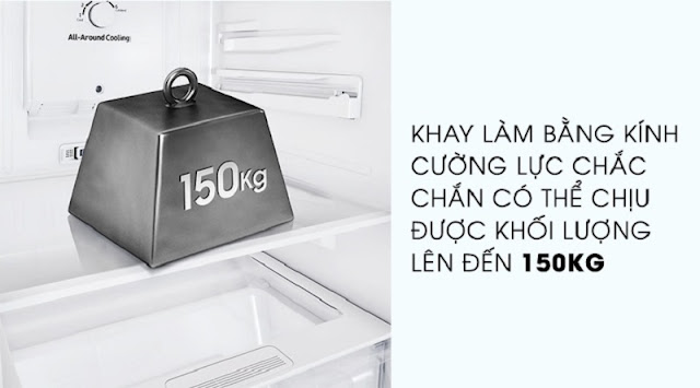 Tủ lạnh Samsung Inverter 236 lít RT22M4033S8/SV 