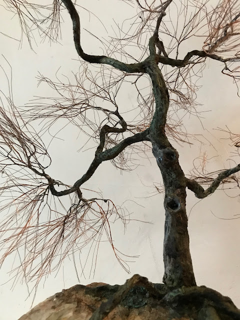 Bonsai, Bonsai tree, Bonsai you can't kill, Copper Wire, Natural Rock, Oxidized Copper, Recycled materials, TAE Trees, Wabi Sabi, Touch Art Experience,