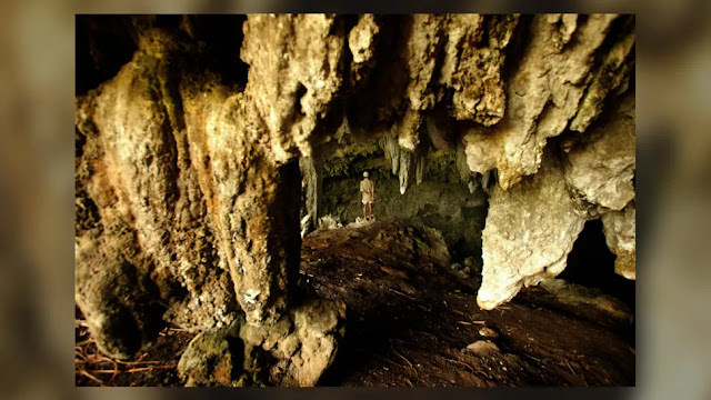 Ένα από τα σπήλαια όπου βρέθηκαν οστά του είδους Homo floresiensis.