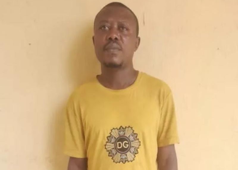 NDLEA nabs drug kingpin, declares brother wanted