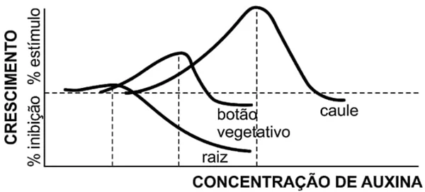 Concentração