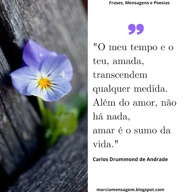 "O Meu Tempo e o Teu, Amada,  transcendem qualquer medida.  Além do Amor, não há nada,  Amar é o sumo da vida."  Carlos Drummond de Andrade