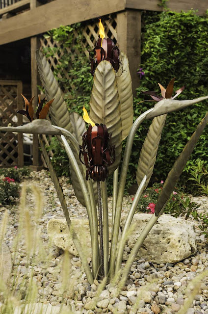 Desert Bird Of Paradise