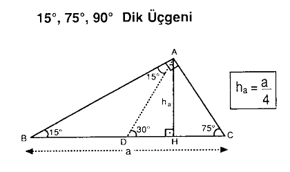 Net Fikir Dik Ucgen Ve Temel Ozellikleri
