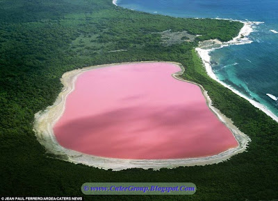 Mysterious Pink Lake in western Australlia