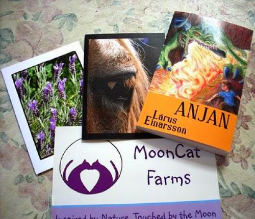 And More Giveaways And Goodies At My Door