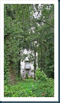 Tall Skinny House