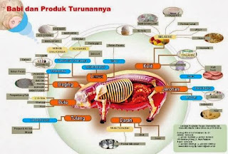 Sebab Dilarangnya Daging Babi