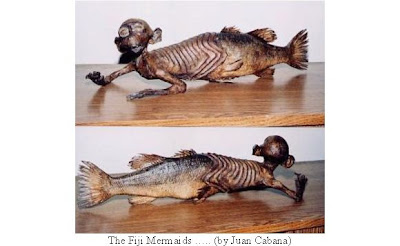 The Fiji Mermaid