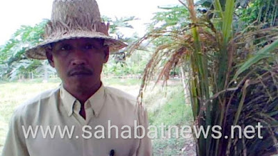 Petani Pinrang Ini, Melenggang Menjadi Anggota DPRD, Kenali Sosoknya