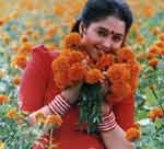 devayani sexy with flowers