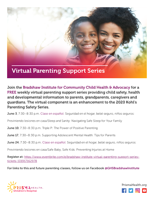 Virtual Parenting Support Series June Classes flier 