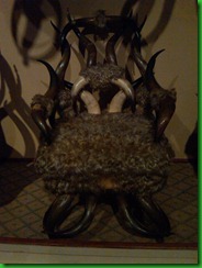IMG00207-20110721-1944