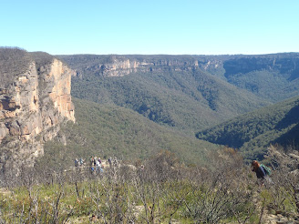 Lemons down on Fortress Rock