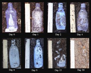 Bioplastik Murah Dari Limbah Minyak Goreng Pintar Pelajaran Bioplastik Murah Dari Limbah Minyak Goreng