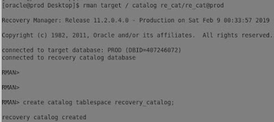 create catalog database
