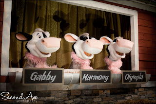 hershey, chocolate world, zooamerica, gettysburg, irish brigade monument, photoblog, birds of prey, bald eagle, low light, animals, nature, zoo, flare, snake, owl, fish, pennsylvania, Virginia photographer, macro, macro photography, travel, photography, 