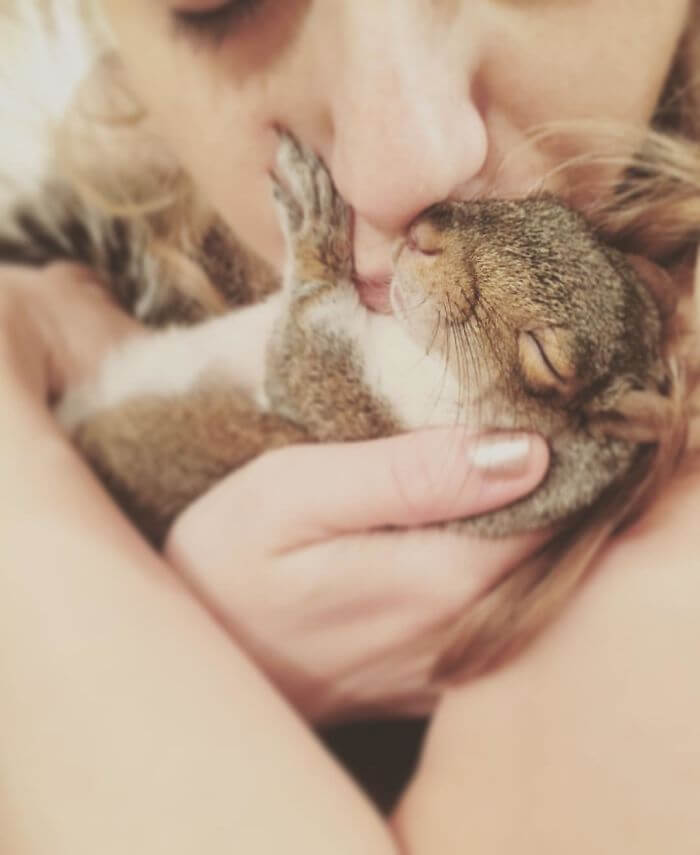 A Man Adopted A Baby Squirrel He Found On His Bed And It's The Most Adorable Story We Read Today