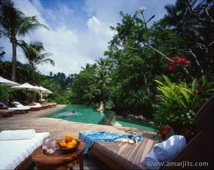 Jungle-Hotel-amarjits-com (9)