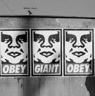 obey