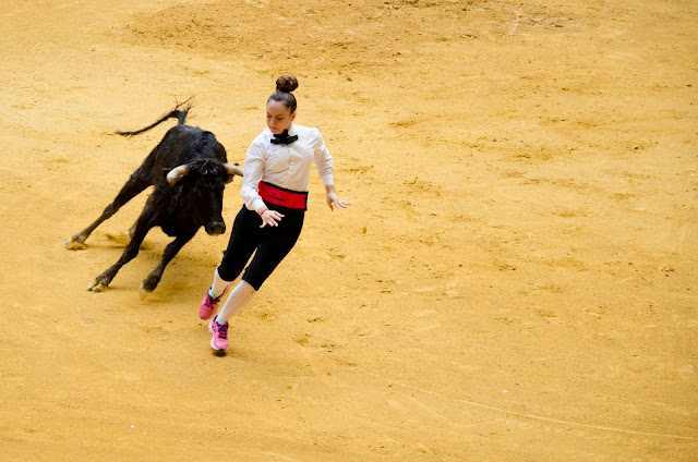 Plaza de Toros La Ribera: Damas del Recorte. Concurso Fotografico 2018