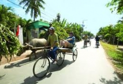 cruises mekong river