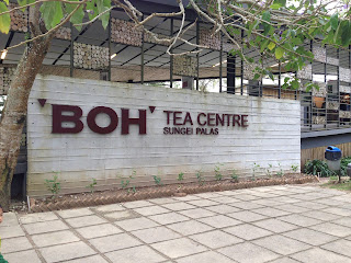 BOH Tea Centre Sungei Palas