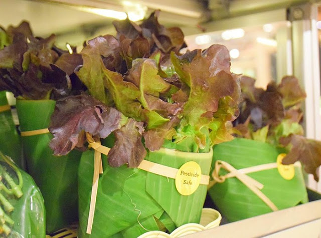 Using Banana Leaves Instead of Plastic Packaging