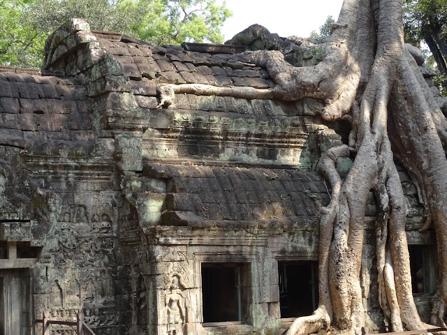 angkor siem reap cambodia