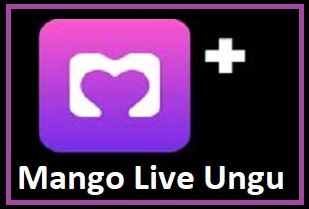 Mango Live Ungu