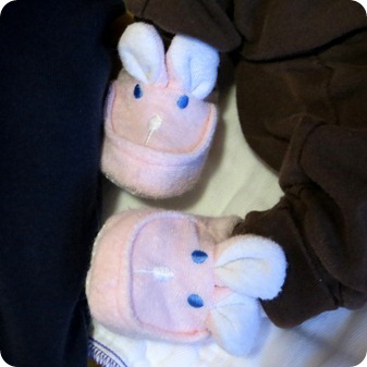 Liberty's Bunny Slippers