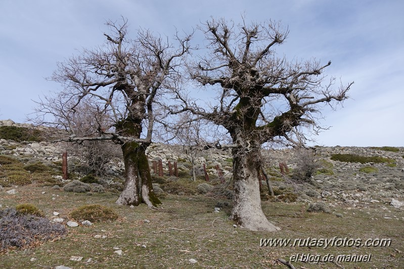 Cañada del Cuerno - Torrecilla - Cañada de las Ánimas