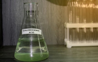 Chlorogenic Acid is a type of natural phenolic compound seen in herbs that is familiar for its antioxidant qualities.