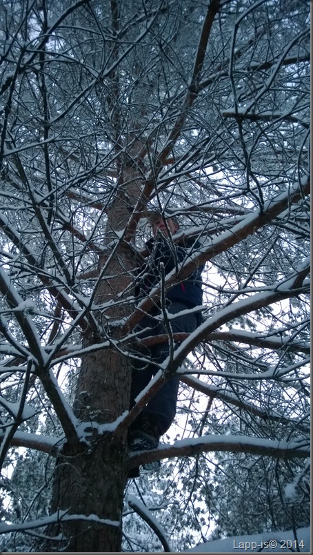 WP_20141228_011
