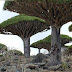 Socotra Island Escape