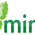 Download Mint M7 Sapphire Stock ROM Firmware