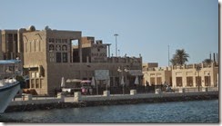 IMG_4946 (Medium)