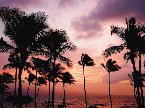 Why Traveling To Hawaii Will Refresh Your Mind, Body, And Spirit