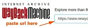 Wayback Machine Bypass Paywall