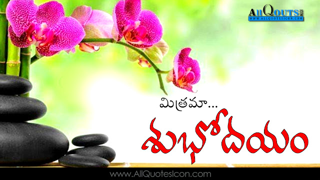 BestTeluguSubhodayamImagesWithQuotes-NiceTeluguSubhodayamQuotes Pictures-ImagesOfTeluguSubhodayam-OnlineTeluguSubhodayamQuotesWithHDImages- NiceTeluguSubhodayamImages-HDSubhodayamWithQuoteInTelugu -GoodMorningQuotesInTelugu- GoodMorningImagesWithTeluguInspirationalMessagesForEveryDay- BestTeluguGoodMorningImagesWithTeluguQuotes-NiceTeluguSubhodayamQuotesWithImages-AllquotesIconSubhodayamHDImagesWithQuotes -GoodMorningImagesWithTeluguQuotes-NiceGoodMorningTeluguQuotes- HDTeluguGoodMorningQuotes-OnlineTeluguGoodMorningHDImages GoodMorningImagesPicturesInTelugu-SunriseQuotesInTelugu DawnSubhodayamPicturesWithNiceTeluguQuote-InspirationalSubhodayam MotivationalSubhodayam-InspirationalGoodMorning-MotivationalGoodMorning- PeacefulGoodMorningQuotes-GoodreadsOfGoodMorning